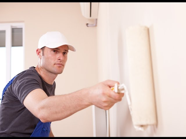 Wall Painter and Decorator